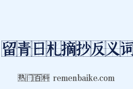 留青日札摘抄反义词是什么意思的图片